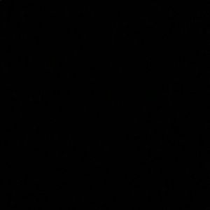 Meet your Posher, Joyce